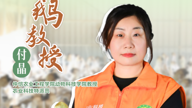 鹅教授付晶： 提高雏鹅成活率 温度湿度光照是关键 | 农技先锋行