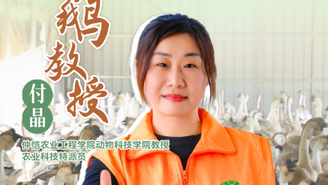 鹅教授付晶：种蛋鹅苗怎么选？| 农技先锋行