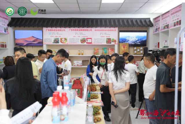 2025广东早熟荔枝（粤西）上海采购商精准对接会现场，客商如织。