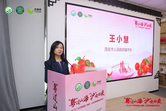 茂名市人民政府副市长王小慧做茂名荔枝推介。