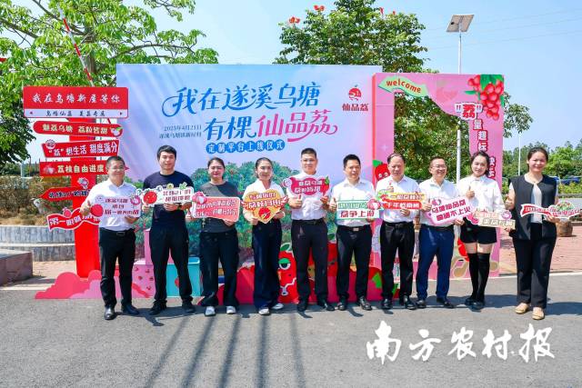 “我在遂溪乌塘有棵仙品荔”定制平台上线 