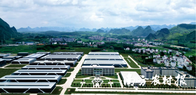 粤桂协作广西忻城茧丝绸产业园。