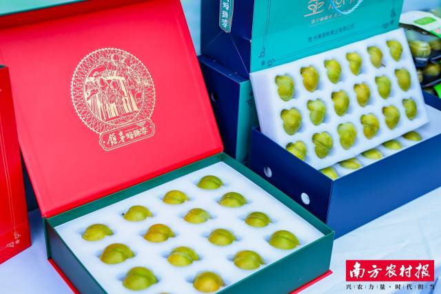 近年来镇宁蜂糖李品质持续提升。