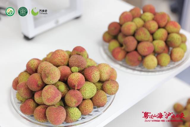 广东荔枝上市。