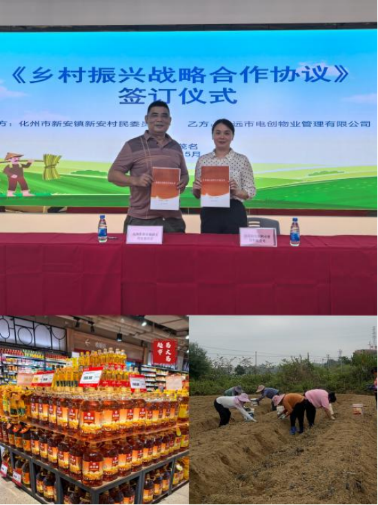 驻化州新安镇帮镇扶村工作队：榨油厂里“致富”香，乡村振兴再加“油”