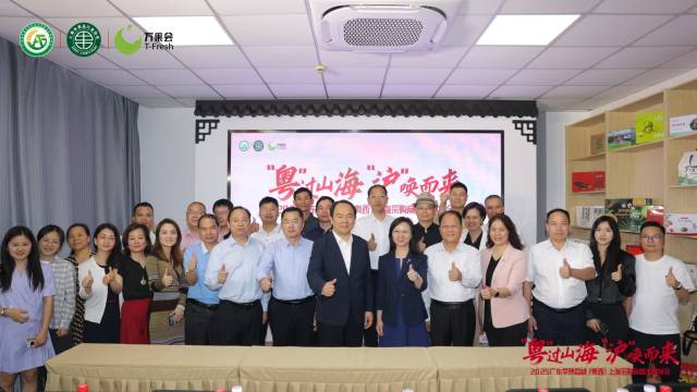 2025广东早熟荔枝（粤西）荔枝上海采购商精准对接会