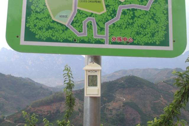 杨泽顺通过检测仪器实时收集果园温度数据。