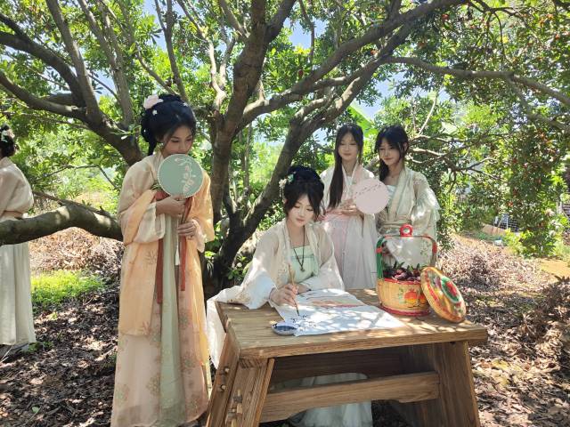 杨梅树下开展趣味文旅活动。 