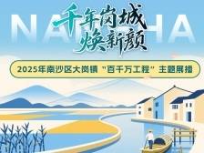 千年岗城焕新颜——南沙大岗镇“百千万工程”主题展播