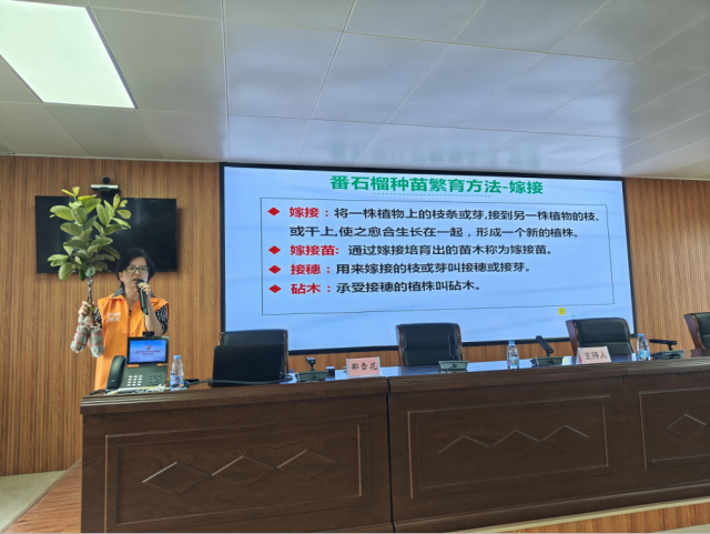 收获满满！2025年湛江市麻章区农文旅湾区推介行动举行