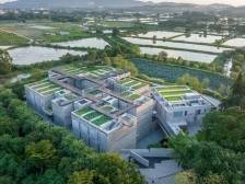 春阳塱照：一条岭南古村的焕新之路