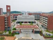 双向奔赴，精彩绽放！东莞十一中校园开放日来啦