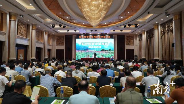 绿色防控、助力农安！广东举办豇豆科学安全用药技术培训班