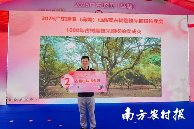 广东恒兴总体以80万元竞患上1000年古树荔枝采摘权