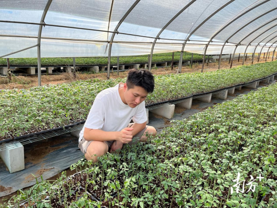 湛江市遂溪县界炮镇山内村党支部书记陈土松。