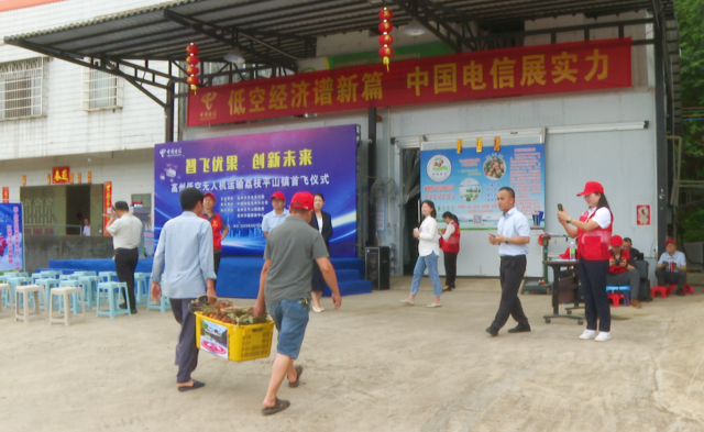 茂名高州运用无人机运输荔枝。