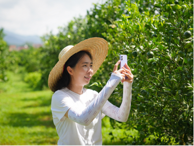 “贡柑妹妹”陈慧。