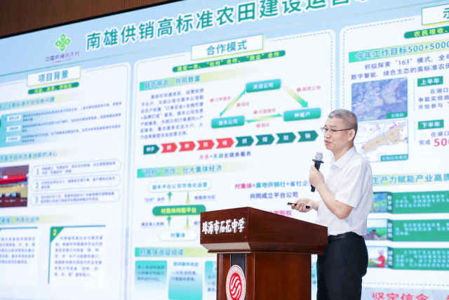 广东丝苗米行业专家郑群