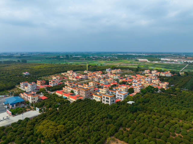 荔林中的乌塘镇风景如画