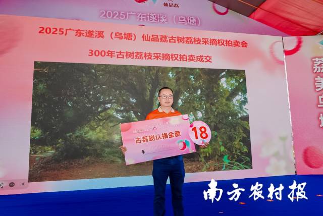 广东五洲药业有限公司竞患上300年古树荔枝采摘权 