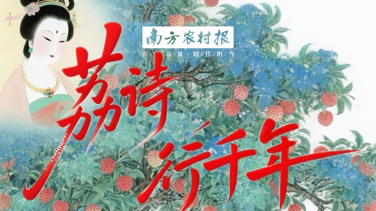 “荔”诗行千年，古树载春秋