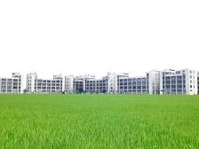 潮阳区贵屿镇新厝村加快打造“工改工”示范点，让“寸土”生“寸金”