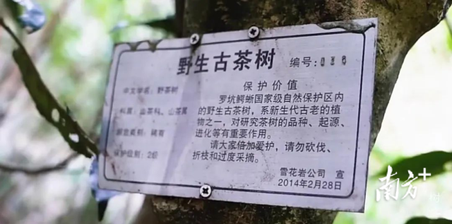 受访者供图