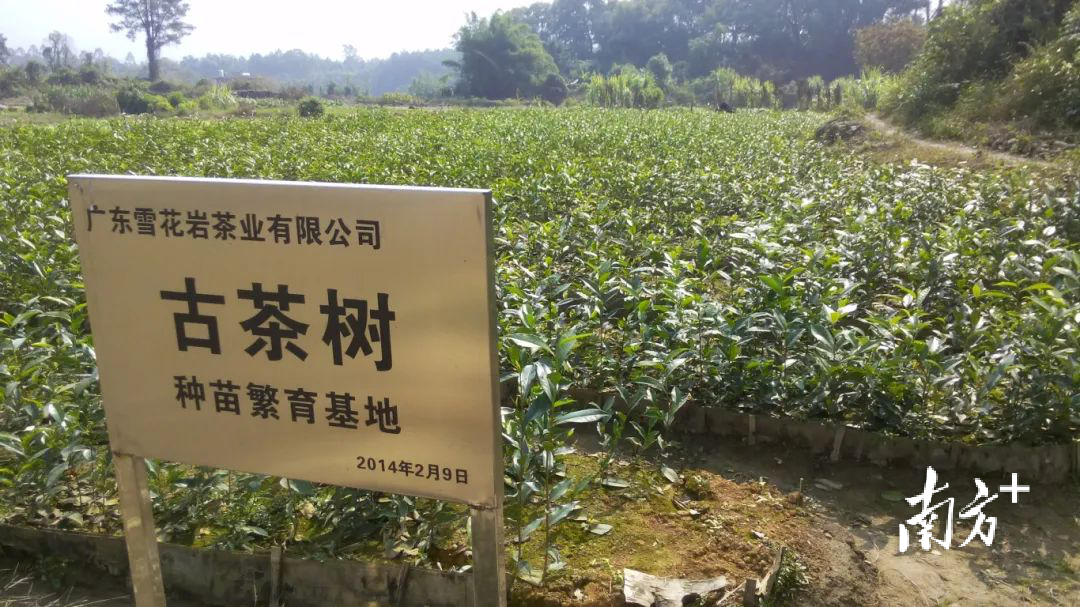 受访者供图