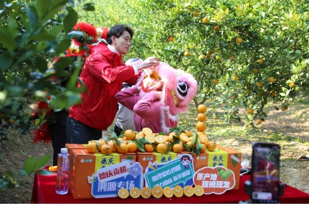 受访者供图