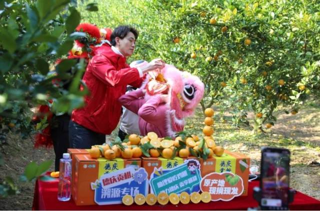 受访者供图