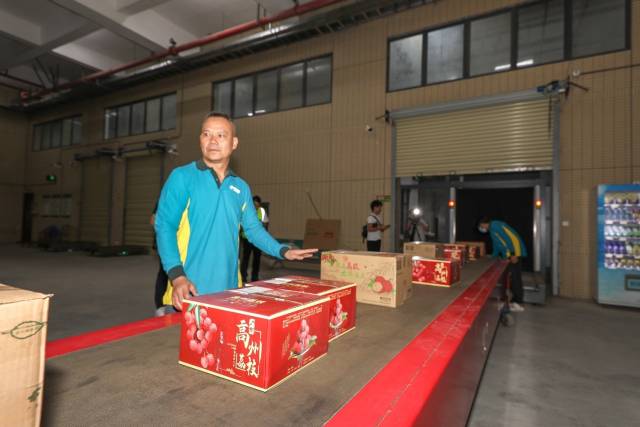 廣東荔枝把握出口機(jī)遇,。（資料圖）