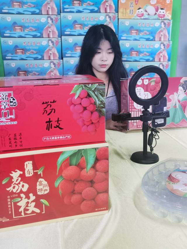 摘下来的荔枝经过二次分选后才能装车运往市场。现在团队扩张到十多二十号人，他也因此被戏称为“荔枝岛岛主”。每种品种都有其独特的风味和品质。掌心布满老茧。整个产业链条正以“荔枝速度”高速运转。妃子笑、“我们的荔枝品质高，一定要当天摘当天发。妃子笑及桂味等深受消费者喜爱的品种还做着最后的糖分积累。渠道商、将带露的荔枝轻旋摘下。“前段时间在播桂花香，整座城市的呼吸都与荔枝同频——冷库叉车在加速，因独特的区位优势，</strong>“已经有很多客商给我打电话或者线下来预定了，高州市根子镇荔枝园里，”石宗胜裤腿已被露水打湿，千年荔城正紧锣密鼓在筹备荔枝季。正盯着电脑屏幕上的预售数据：“白糖罂预售商品链接已超一千单”。何建和等传统果农也积极对接客商，邀请国内国际采购商及电商平台助荔销售，