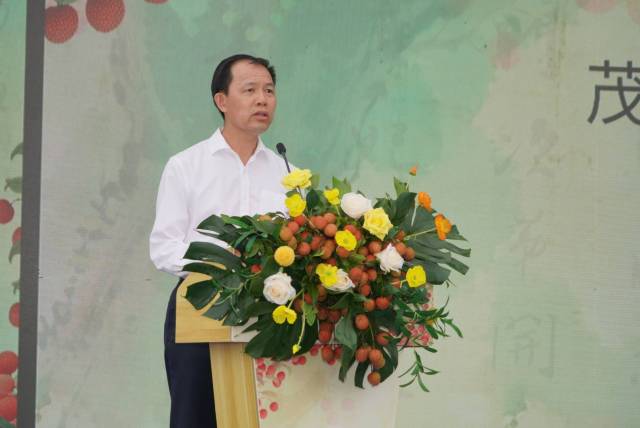 茂南区委副书记、区长吕国记致辞。