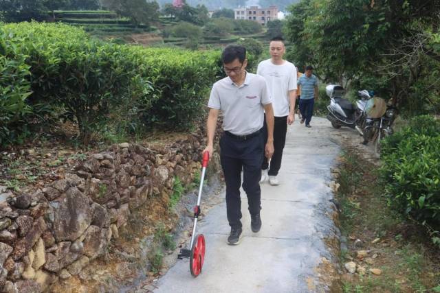 陈小武对茶园机耕路进行验收