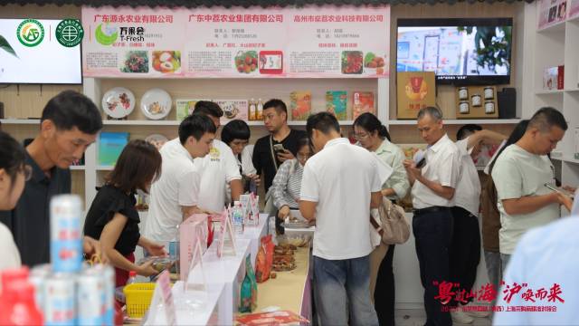 广东荔枝赴沪推介洽谈现场。
