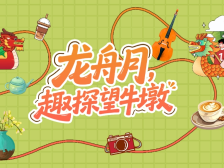 趣探望牛墩｜龙舟桨声里，邂逅岭南水乡浪漫与诗意（视频）