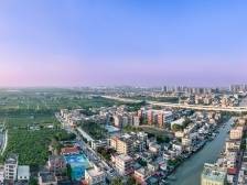 万顷沙田焕新颜！南沙万顷沙“百千万工程”主题展播启动