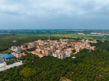 广东首个“小红书村”，就在遂溪乌塘镇新屋村！