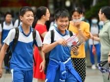 白兰盛开处，职普竞芬芳｜聚焦佛山中考