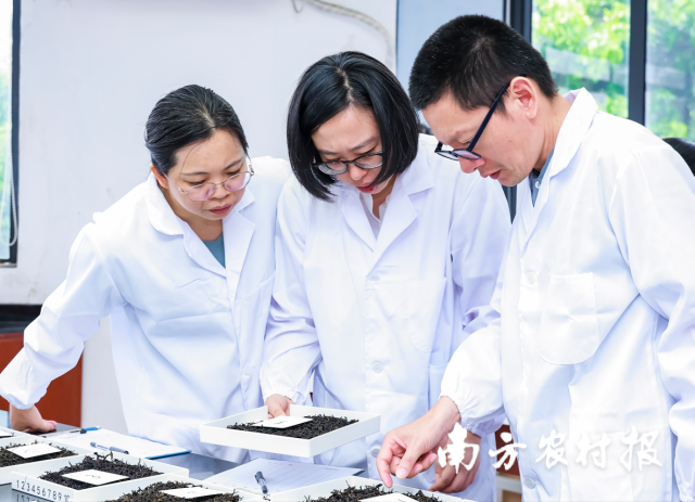 2025陸河縣首屆斗茶大賽現(xiàn)場,，專業(yè)評審團(tuán)從多維度進(jìn)行嚴(yán)謹(jǐn)鑒評。