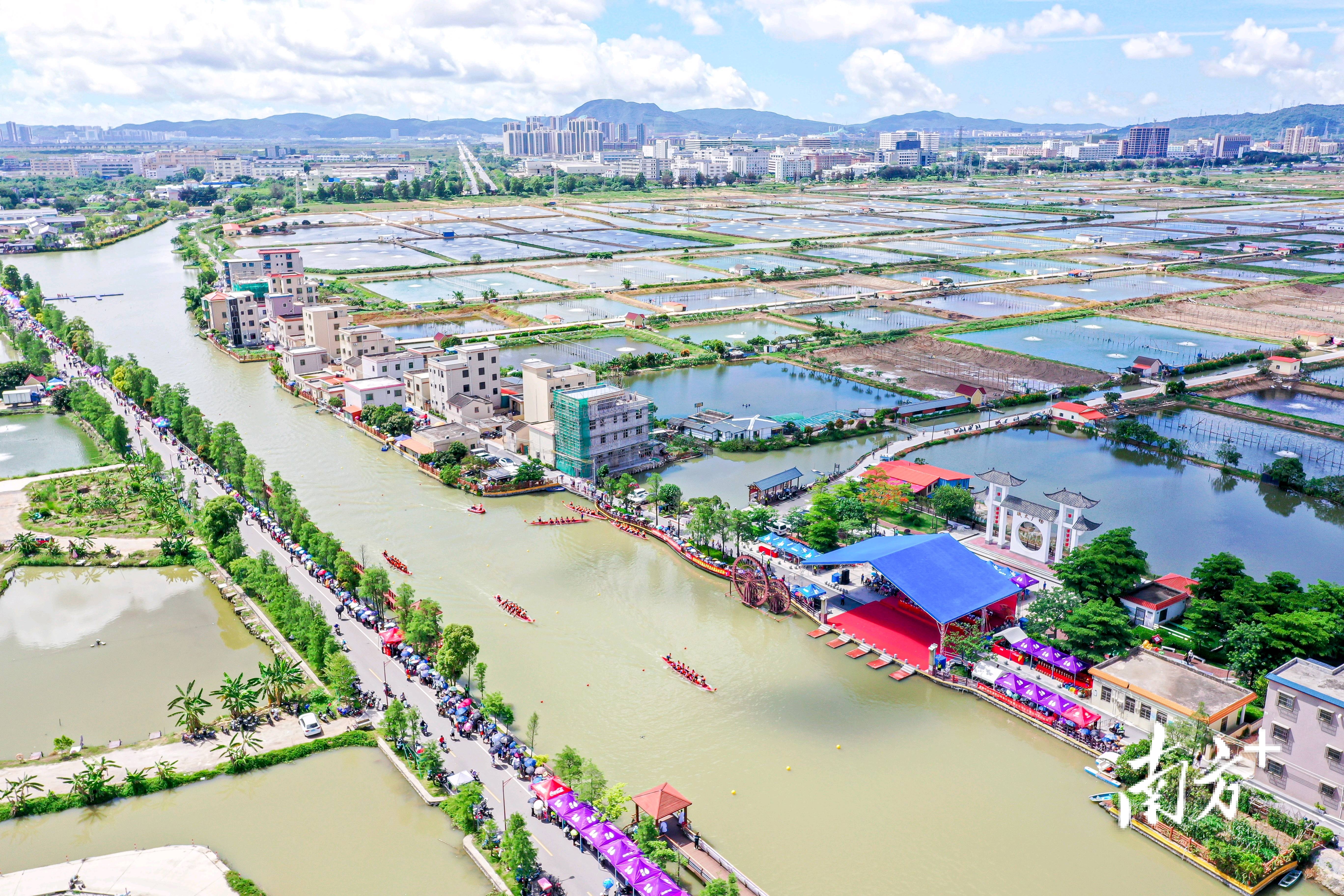 广安社区代表队以微弱优势夺得冠军。  南方+ 关铭荣 拍摄