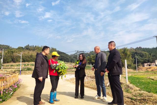 驻清远英德市黎溪镇帮镇扶村工作队下乡调研。