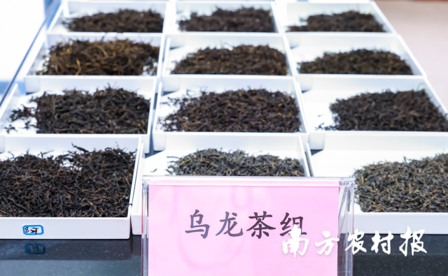 受訪者供圖