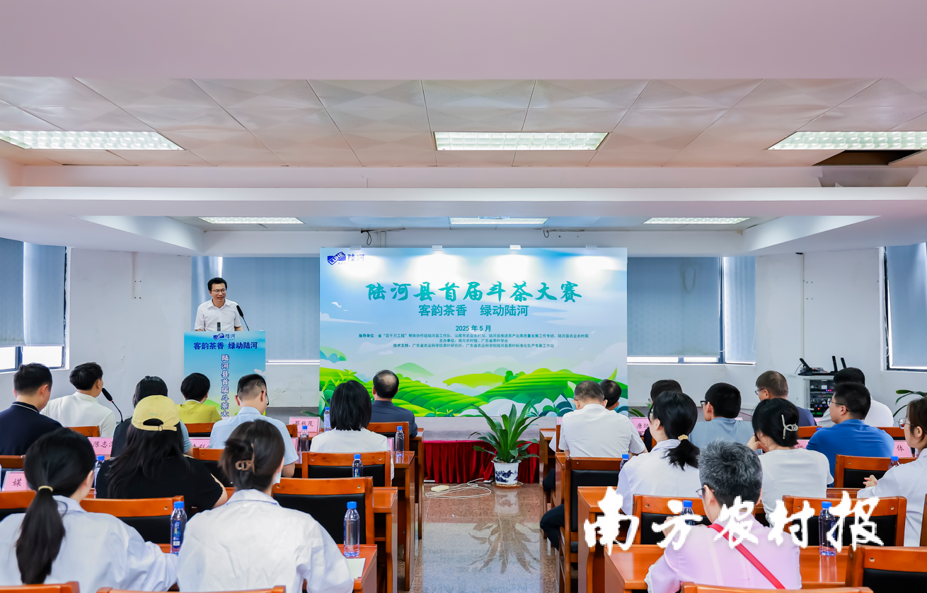 四大“茶王”揭曉！陸河縣首屆斗茶大賽在廣州圓滿舉辦