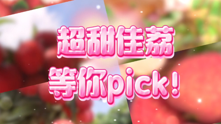 陽江佳荔10強(qiáng)出道,！投出你的最愛！