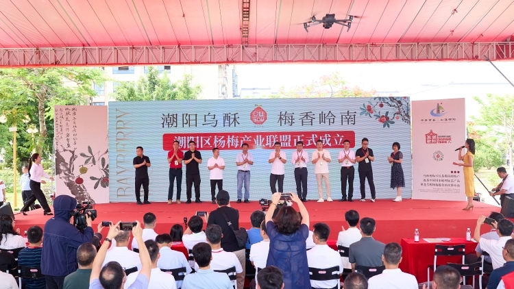 賦能產(chǎn)業(yè)高質(zhì)量發(fā)展,！汕頭潮陽舉辦“楊梅季”系列活動