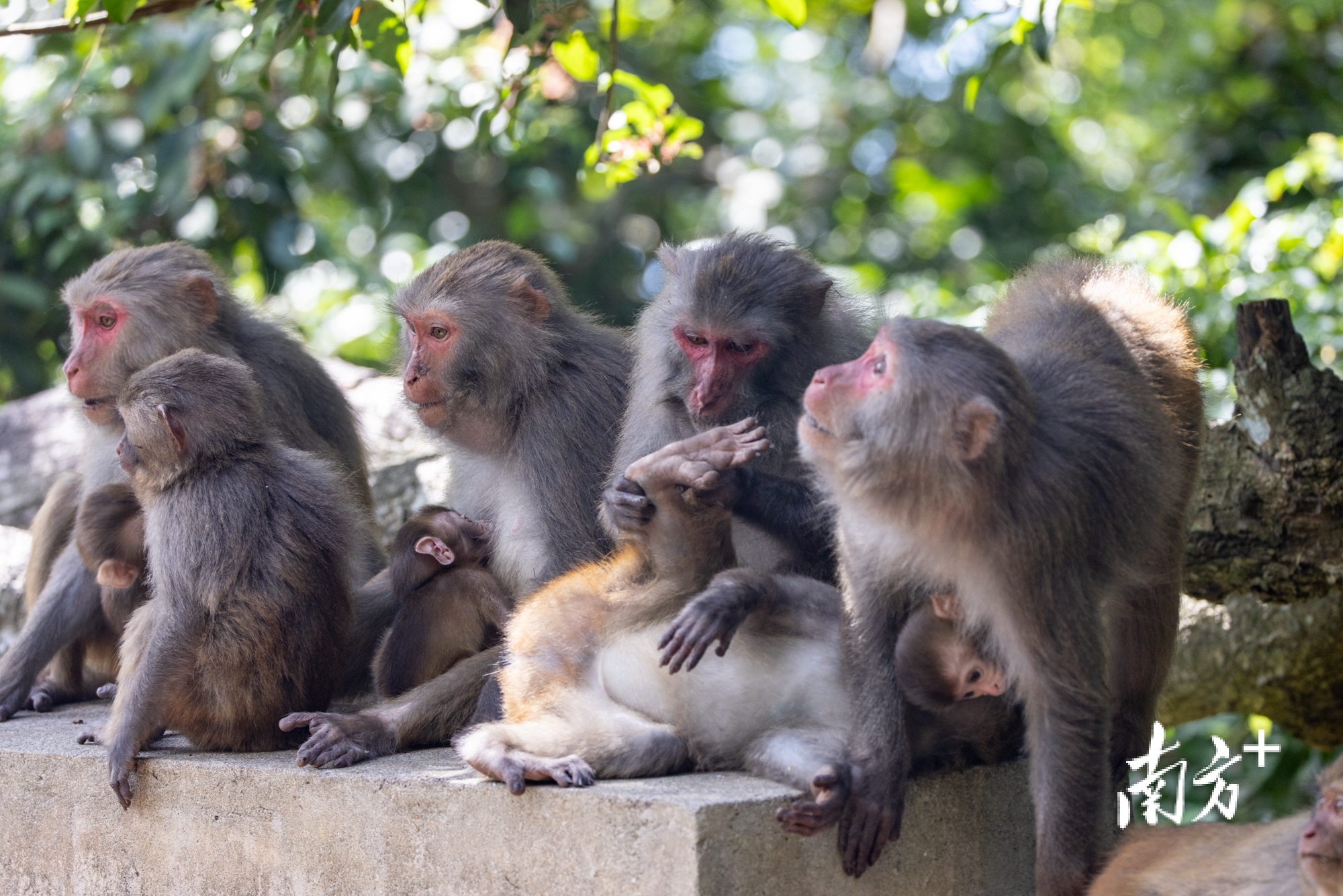 担杆岛。梁冠贤 摄 担杆岛。梁冠贤 摄