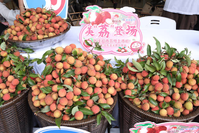 仙品荔早熟、清甜、不上火,在越秀区美“荔”登场 仙品荔早熟、清甜、不上火,在越秀区美“荔”登场