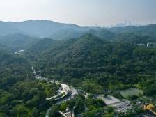 诗歌｜杨克：白云山（外二首）