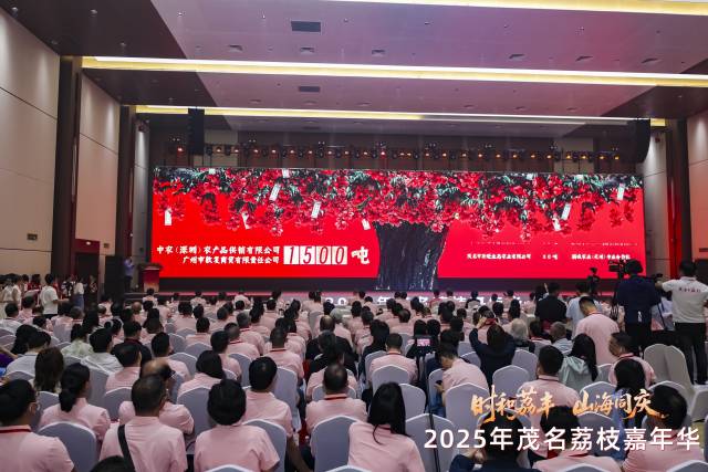 茂名荔枝定单火爆。